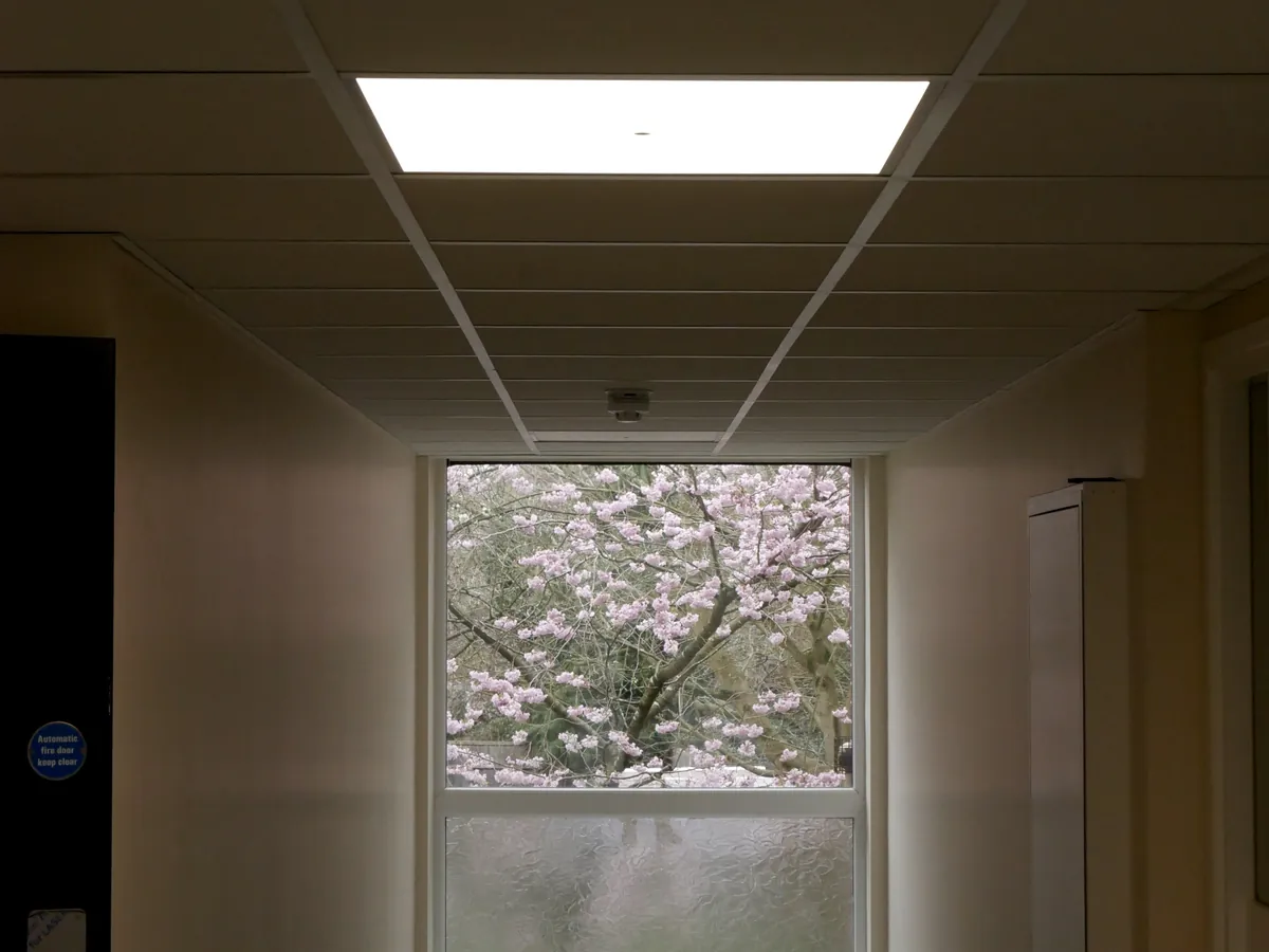 Communal corridor with a ceiling light and smoke detector