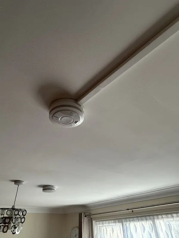 Living room alarm with its trunking