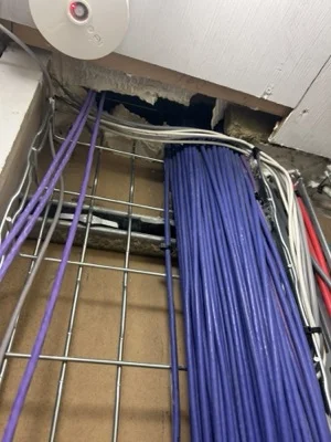 New Cat6 data cabling run in cable basket