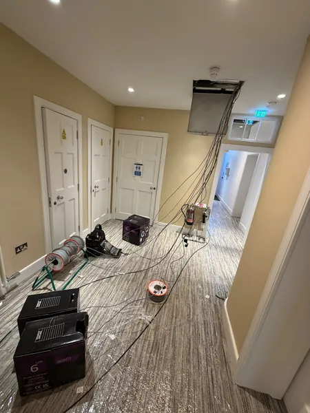 Cat6 data cables pulled down from the ceiling void on an upper landing, with the carpet sheeted